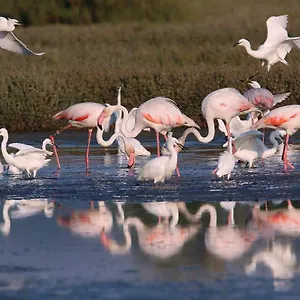 Alloggio per agriturismo Azienda Agricola Oasis, La Sdriscia