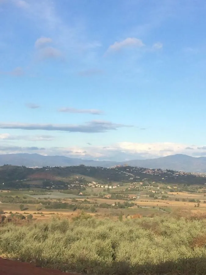 Mansarda Degli Ulivi Apartment Rigomagno