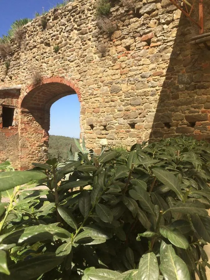 Mansarda Degli Ulivi Apartment Rigomagno Italy