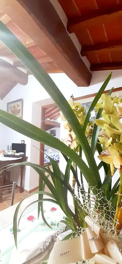 Apartament Mansarda Degli Ulivi Rigomagno
