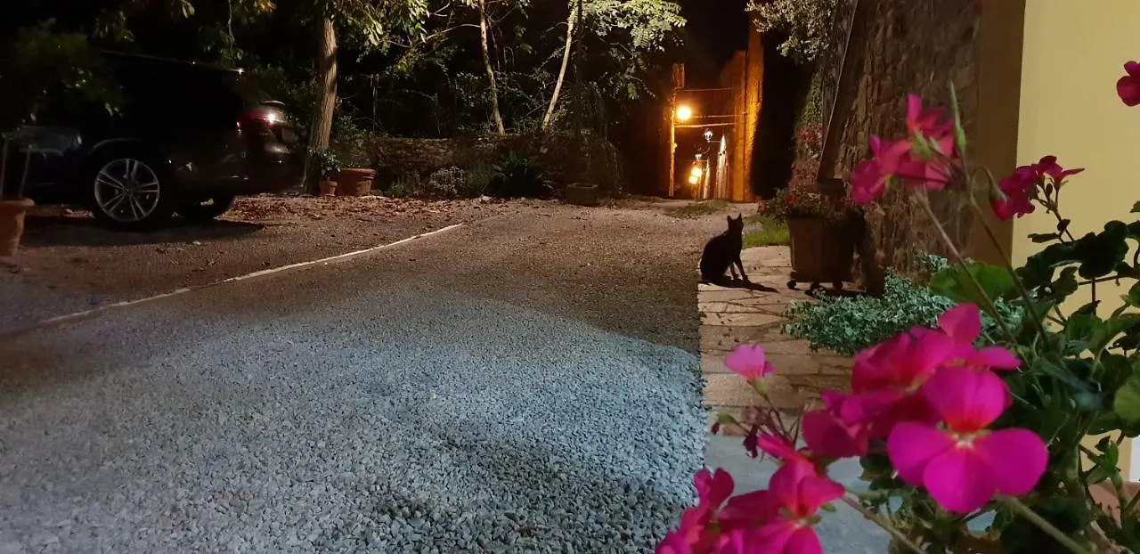 Apartament Mansarda Degli Ulivi Rigomagno